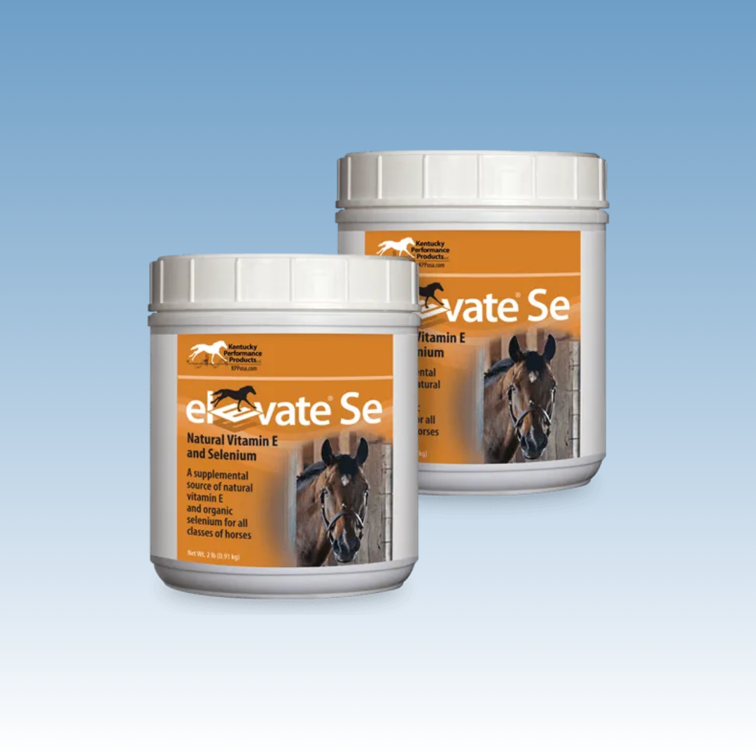 Elevate SE Maintenance (Vitamin E + Selenium)